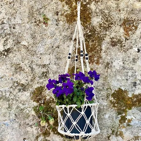 Daire Filoxenos Corfu Island *